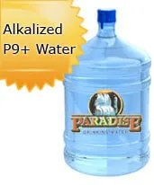 5 Gallon Alkalized Bottled Water Orange/LA County
